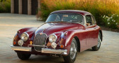 Jaguar XK    Reggio Emilia 42