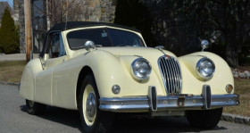 Jaguar XK , garage GOOD TIMERS  LYON