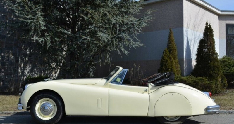 Jaguar XK  1957 - photo n°6 Jaguar XK   occasion à LYON - photo n°6