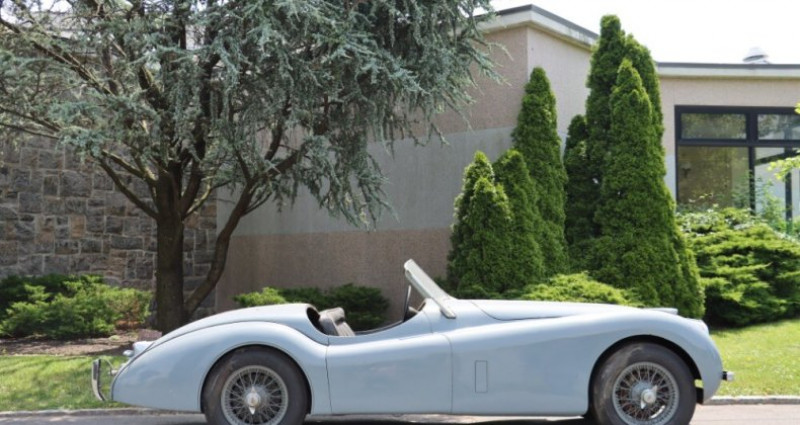 Jaguar XK  1953 - photo n°3 Jaguar XK   occasion à LYON - photo n°3