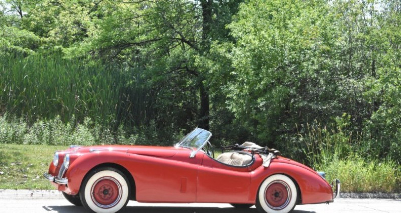 Jaguar XK  1952 - photo n°3 Jaguar XK   occasion à LYON - photo n°3