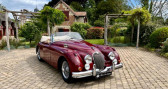 Jaguar XK occasion année 1958 boite Manuelle Annonce Jaguar XK occasion Essence à Honfleur
