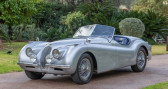Annonce Jaguar XK occasion Essence 1952 � NICE