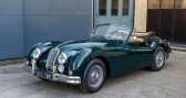 Annonce Jaguar XK occasion Essence Type C  OLLAINVILLE