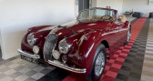 Jaguar XK occasion année 1954 boite Manuelle Annonce Jaguar XK occasion Essence XK 120 SE Drophead à Saint-Sulpice-de-Royan