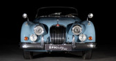 Jaguar XK occasion année 1958 boite Manuelle Annonce Jaguar XK occasion Essence XK 150 S à Ingré