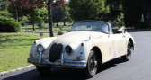 Jaguar XK XK   LYON 69