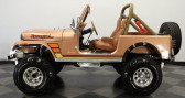 Annonce Jeep CJ occasion Essence   LYON