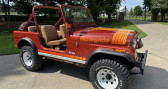 Annonce Jeep CJ occasion Essence   LYON