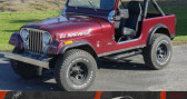 Annonce Jeep CJ occasion Essence   LYON