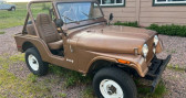 Jeep CJ occasion année 1980 Annonce Jeep CJ occasion Essence à LYON