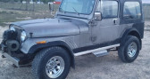 Annonce Jeep CJ occasion Essence   LYON