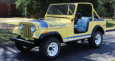 Annonce Jeep CJ occasion Essence   LYON