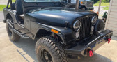 Jeep CJ    LYON 69