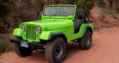 Jeep CJ occasion année 1974 Annonce Jeep CJ occasion Essence à LYON