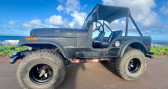 Jeep CJ occasion année 1975 boite Manuelle Annonce Jeep CJ occasion Essence à LYON