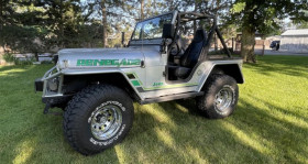 Jeep CJ , garage GOOD TIMERS  LYON