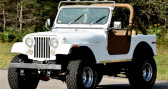 Annonce Jeep CJ occasion Essence   LYON