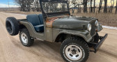 Annonce Jeep CJ occasion Essence CJ-5 V8  LYON