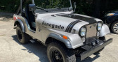Jeep CJ occasion année 1973 boite Manuelle Annonce Jeep CJ occasion Essence Cj-5 à LYON
