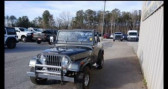 Annonce Jeep CJ occasion Essence CJ-7 39K orig. miles 2 owner  LYON