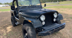 Jeep CJ occasion 1983 mise en vente &agrave; LYON par le garage GOOD TIMERS - photo n&deg;1