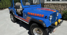 Jeep CJ occasion 1978 mise en vente à LYON par le garage GOOD TIMERS - photo n°1