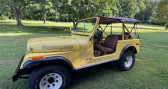 Annonce Jeep CJ occasion Essence CJ  LYON