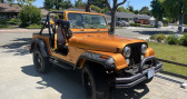 Annonce Jeep CJ occasion Essence CJ  LYON