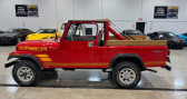 Jeep CJ CJ   LYON 69