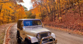 Jeep CJ CJ   LYON 69