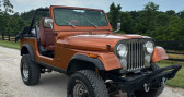 Jeep CJ CJ   LYON 69