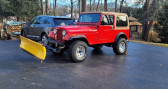 Annonce Jeep CJ occasion Essence CJ  LYON