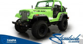 Annonce Jeep CJ occasion Essence CJ à LYON