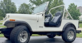 Jeep CJ occasion 1984 mise en vente à LYON par le garage GOOD TIMERS - photo n°1