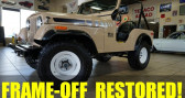 Annonce Jeep CJ occasion Essence CJ  LYON