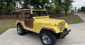 Annonce Jeep CJ occasion Essence CJ  LYON