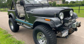 Jeep CJ CJ  1984 - annonce de voiture en vente sur Auto Sélection.com