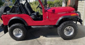 Annonce Jeep CJ occasion Essence CJ à LYON