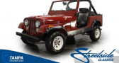 Annonce Jeep CJ occasion Essence CJ à LYON