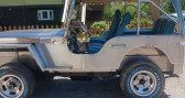 Annonce Jeep CJ occasion Essence CJ  LYON