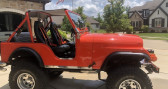 Jeep CJ CJ   LYON 69