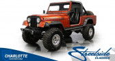 Annonce Jeep CJ occasion Essence CJ  LYON