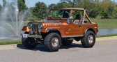 Annonce Jeep CJ occasion Essence CJ  LYON