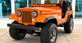 Annonce Jeep CJ occasion Essence CJ  LYON