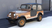 Jeep CJ CJ   LYON 69