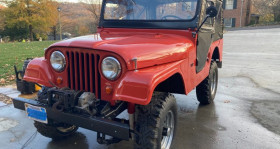 Jeep CJ , garage GOOD TIMERS  LYON