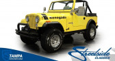 Annonce Jeep CJ occasion Essence CJ � LYON