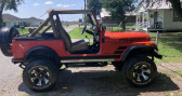 Annonce Jeep CJ occasion Essence CJ � LYON