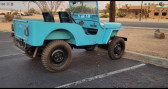 Annonce Jeep CJ occasion Essence CJ � LYON